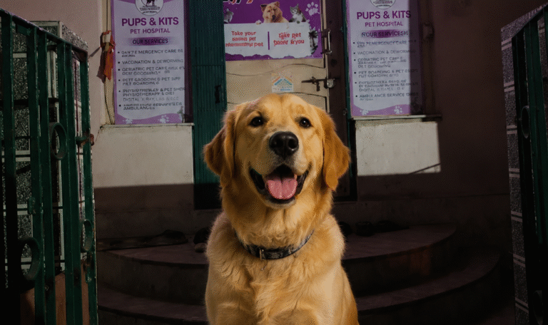 best Dog Hospital in Santoshpur