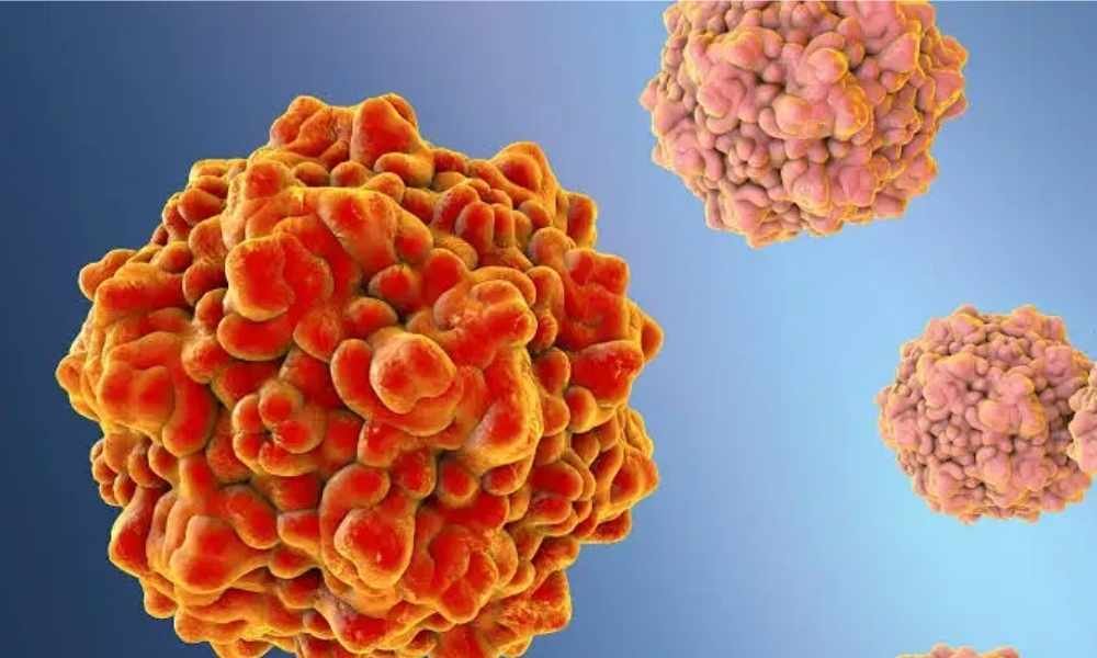 Image of Parvovirus in Dogs